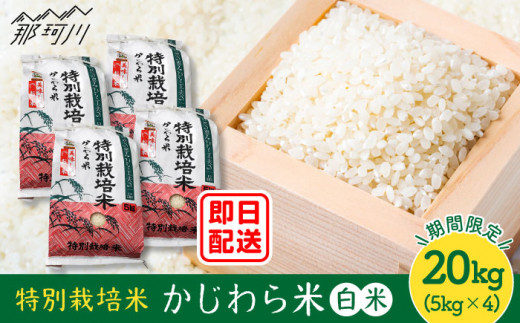 
特別栽培米 かじわら米 計20kg（5kg×4）＜農事組合法人かじわら＞白米 米 [GAI005]
