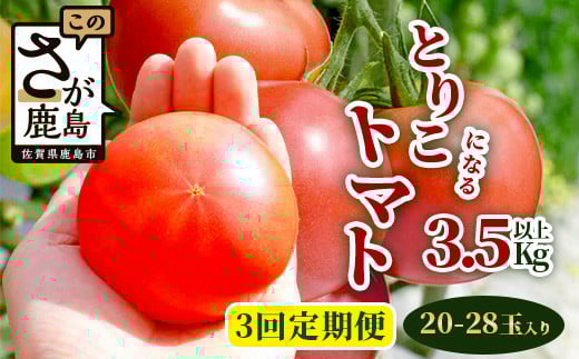 
            【開始月が選べる】定期便 3回 とりこになるトマト 3.5kg以上 たにぐちファーム Ricotomato | トマト 野菜 定期便 3ヶ月 3か月 定期 とまと リコピン 旬 やさい 季節 JGAP認証取得 ふるさと 人気 佐賀産 佐賀県 鹿島市 鹿島産 年3回発送 送料無料 C-84
          