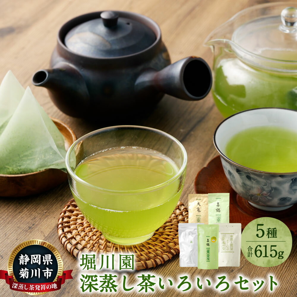 【ふるさと納税】堀川園 深蒸し茶 いろいろセット ティーバッグ 3種 計80包 茶葉 2種 100g×各1袋 緑茶 茶 お茶 さつきティーバッグ 水出しティーバッグ 喜鶴ティーバッグ 水出し 静岡 一番茶 茶葉 国産 深蒸し茶 深蒸し菊川茶 常温 静岡県 菊川市 送料無料