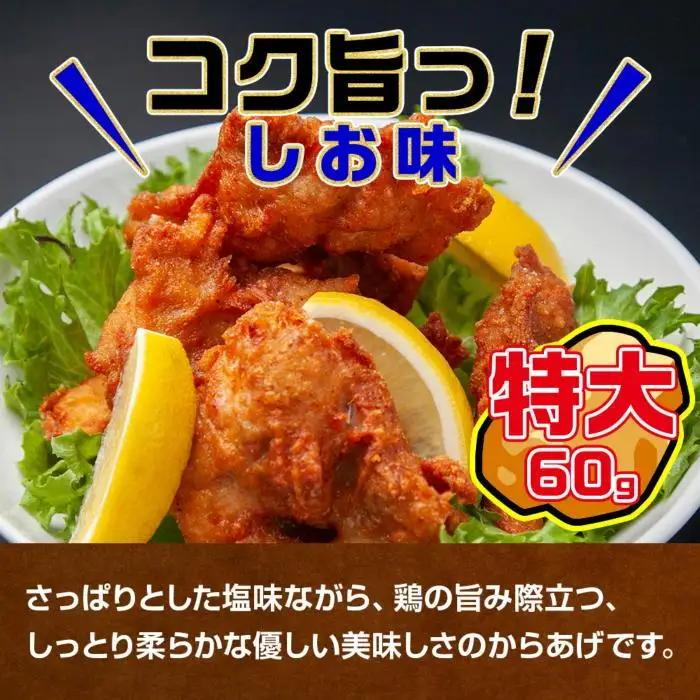 どでか味付けから揚げ うま塩味 500g×2パック 計1kg 大容量 唐揚げ からあげ から揚げ しお 塩 揚げ物 冷凍 惣菜 簡単 調理 肉 おかず 味付き 野崎フーズ 新潟県 南魚沼市｜チルド