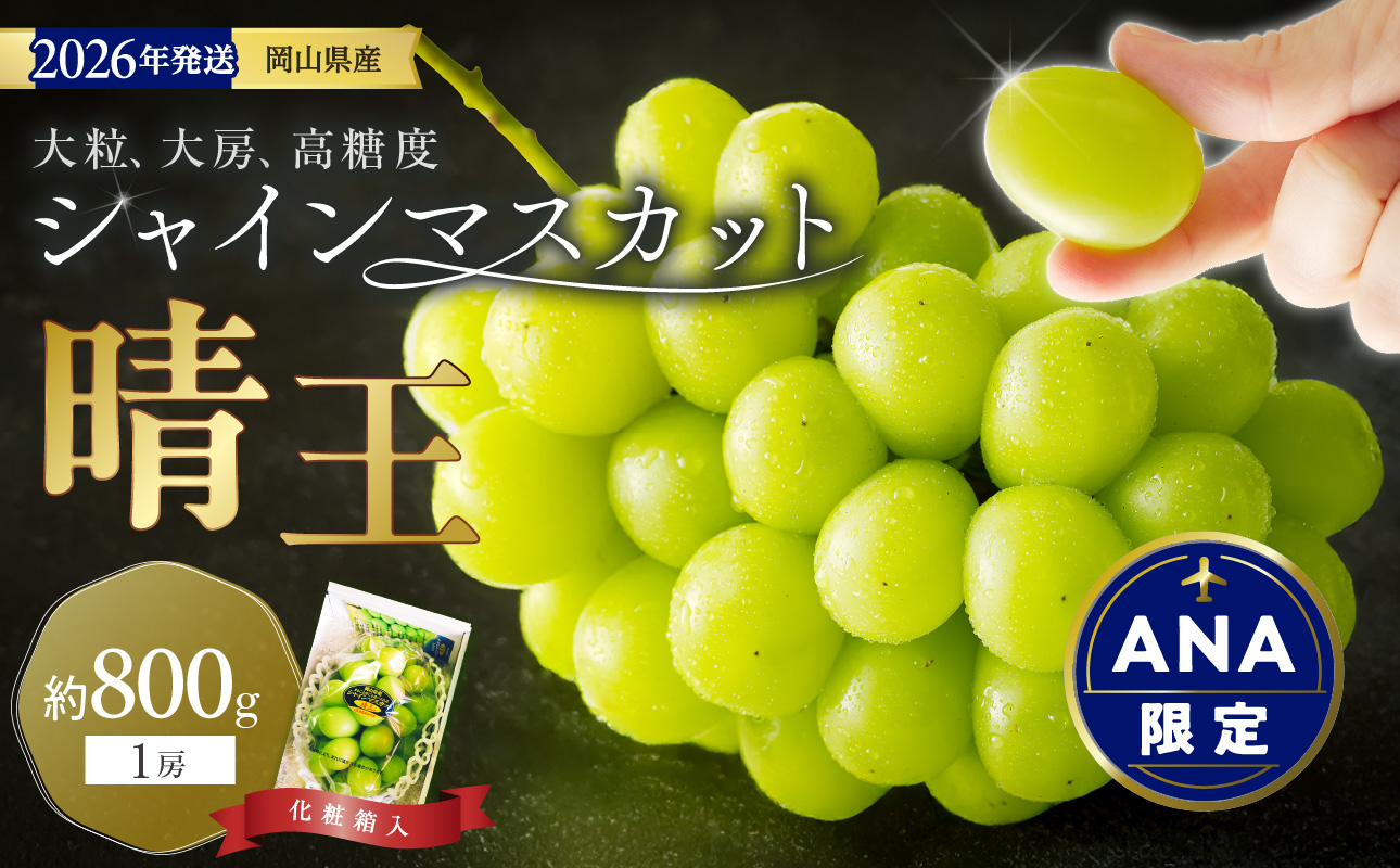 【ANA限定】【2026年発送分 先行受付スタート！】岡山県産シャインマスカット「晴王」秀品　1房（約800g）（令和8年8月中旬以降発送）【シャインマスカット 大房 大粒 岡山県産 秀品 種無し 高糖度 葡萄 ぶどう 御中元 ギフト 御礼 化粧箱入 プレゼント 御祝 御供 果物 くだもの フルーツ 】