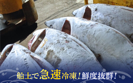 【全6回定期便】まぐろ おまかせバーベキューセット 冷凍3kg【本まぐろ直売所】[AKAK033]