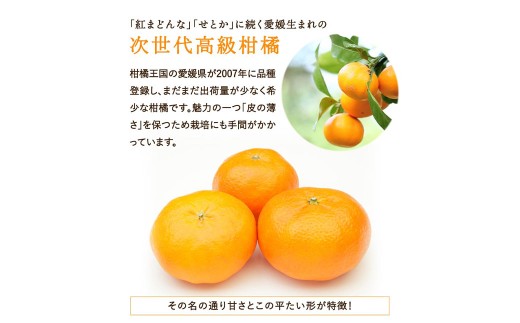 甘平 約2kg みかん ミカン 蜜柑 柑橘 柑橘系 柑橘類 くだもの 果物 フルーツ 果実 果汁 果肉 国産 愛媛県産 愛媛みかん かんぺい 果肉感 【2027年2月下旬-4月下旬発送予定】 ( 11