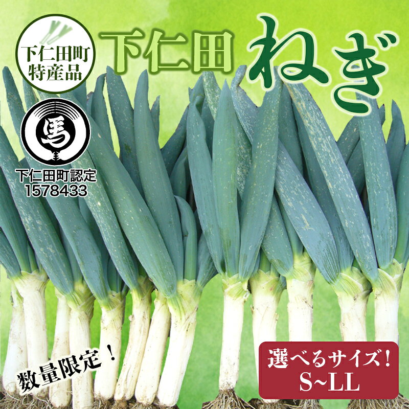 【ふるさと納税】下仁田町特産「下仁田ねぎ」選べるサイズ S・M・L・LL・食べ比べ 小箱 とろける 甘い ねぎ ネギ 王様ねぎ 特産 栄養たっぷり ブランド 上州ねぎ すきやき F21K-578var