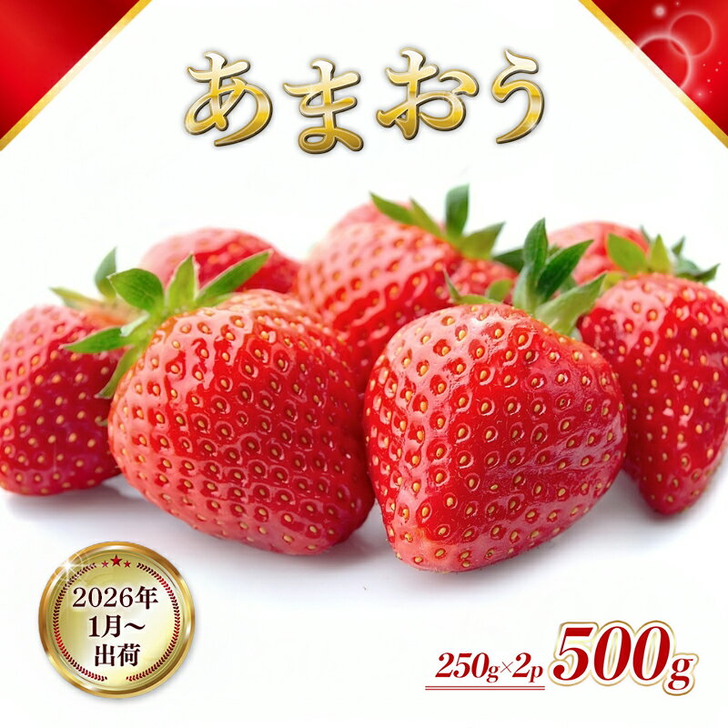 【ふるさと納税】いちご 福岡県産 あまおう 500g (250g×2パック) 先行予約 2025年1月より順次発送 果物 デザート ※配送不可：離島 　お届け：2026年1月6日～1月31日