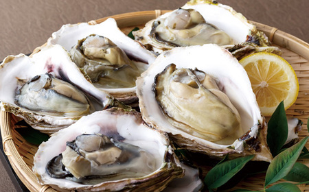 九十九島かき本舗岩がきC