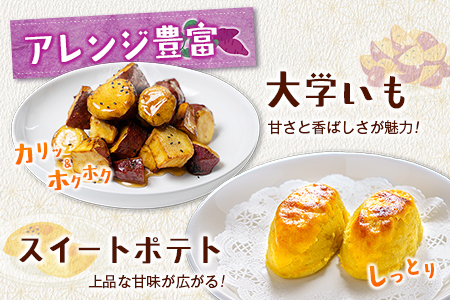 長期熟成 紅はるか 計3kg 宮崎県都城市産 さつまいも サツマイモ