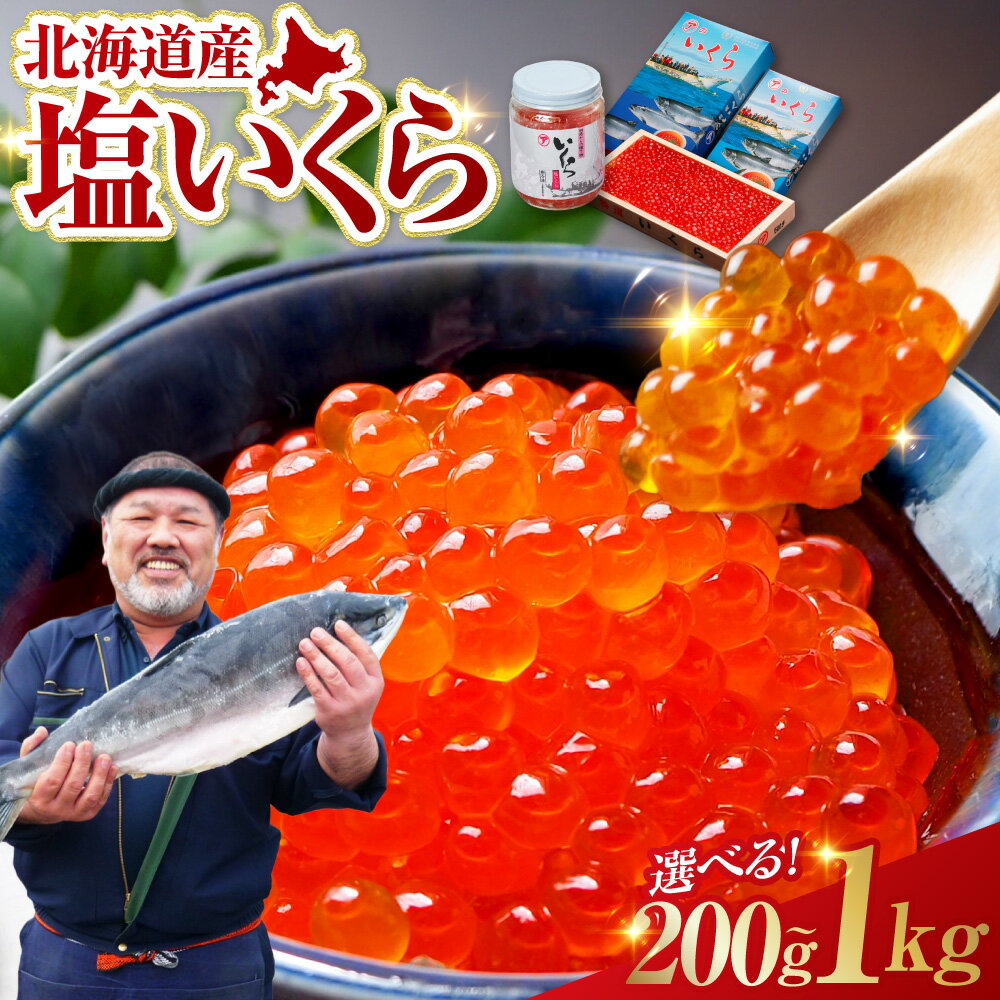 【北海道産】　ア特選　塩いくら　500g