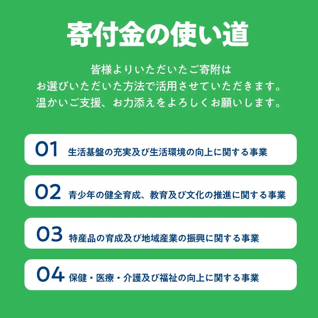 【 返礼品なし 】 茨城県 城里町 ふるさと応援寄附金 ( 3,000円 ) [ZZ001]