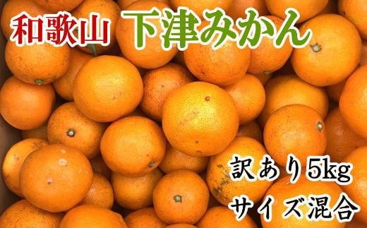 【訳あり】和歌山下津みかん約5kgご家庭用向け(サイズ混合) ★2025年11月中旬頃より順次発送［TM77］