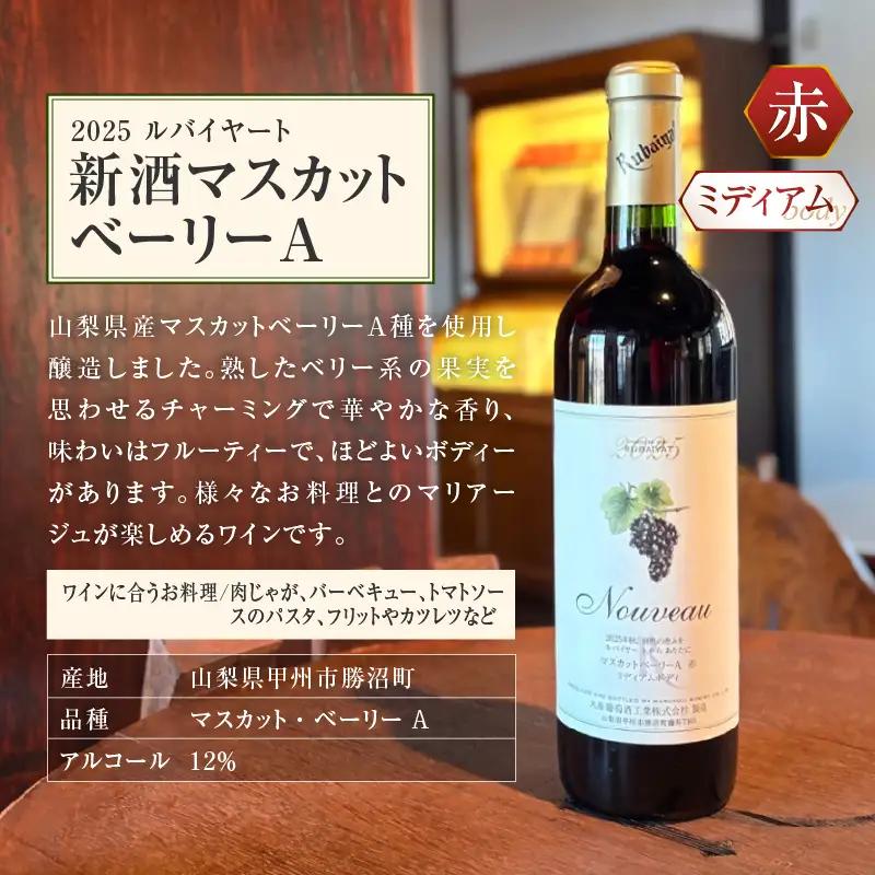ワイン 丸藤葡萄酒が贈る旬の味わい『新酒マスカットベーリーA』『新酒甲州辛口』新酒ワイン2本セット（MF）B17-790