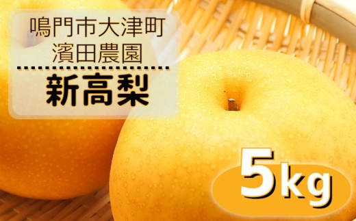 【予約受付中】【9月下旬～10月上旬より順次発送】濱田農園 新高梨 約 5kg 【数量限定】