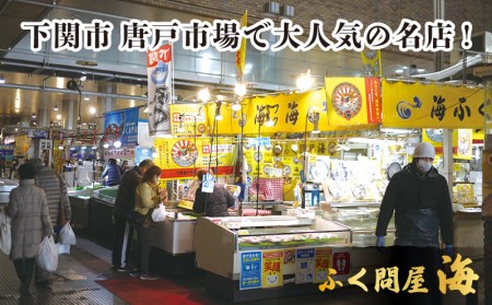 【配送指定日必須】国産 とらふぐ 料理 セット 2人前 ふぐ松前付 冷蔵 下関 山口 ふぐ特集 秋 冬 《海（かい）：KA》 KA0001