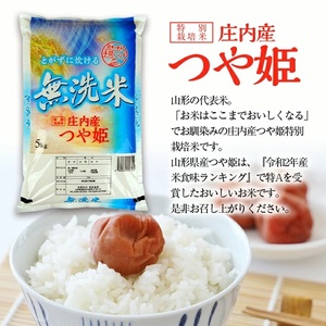 SB0867　令和7年産【無洗米】庄内産 特別栽培米 つや姫　5kg(5kg×1袋) SA