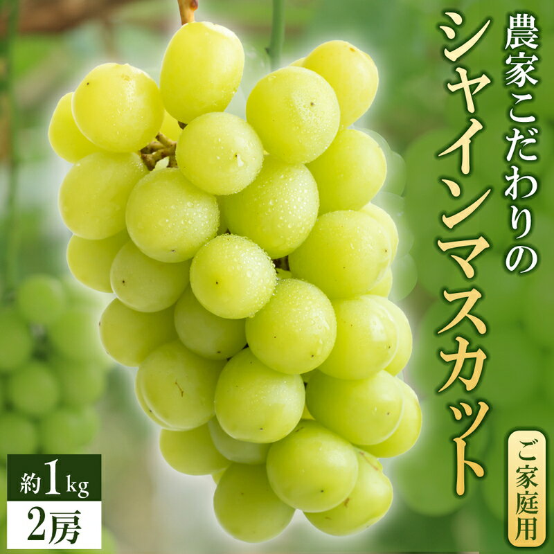 【ふるさと納税】シャインマスカット 2房 約1kg 九州 温暖 気候 活かす 農家 こだわり ご家庭用 予約受付 先行予約 皮ごと食べられる 上品 甘さ フルーツ 果実 果物 ぶどう マスカット デザート おやつ お取り寄せ 福岡県 久留米市 送料無料