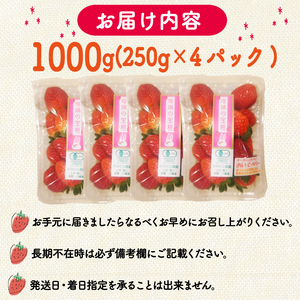 先行予約 いちご 1000g 瑠璃の宝箱 オーガニックイチゴ 250g 4パック 化粧箱入り ブランドいちご こだわりのいちご 産地直送のいちご 有機JASいちご