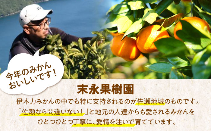 ※【2026年11月より順次発送／先行予約】力温州早生みかん10kg(ご家庭用、箱入り) / みかん 温州みかん 柑橘 蜜柑 ミカン 果物 / 諫早市 / 末永果樹園 [AHBD002]