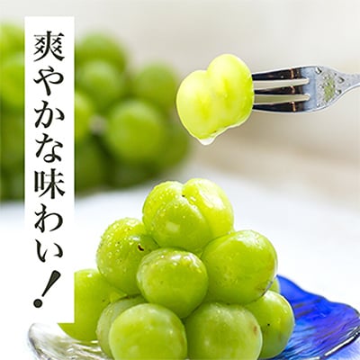 【2025年発送】岡山県産　瀬戸ジャイアンツ2房　(1房480g以上)合計約1kg　化粧箱入り【配送不可地域：離島・北海道・沖縄県】