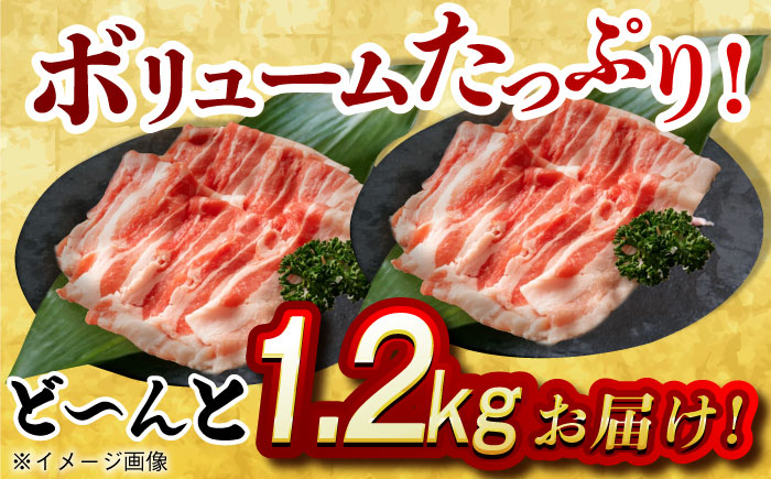 肉 豚 ぶた ブタ 豚バラ しゃぶしゃぶ 小分け 西海市 長崎 九州 定期便