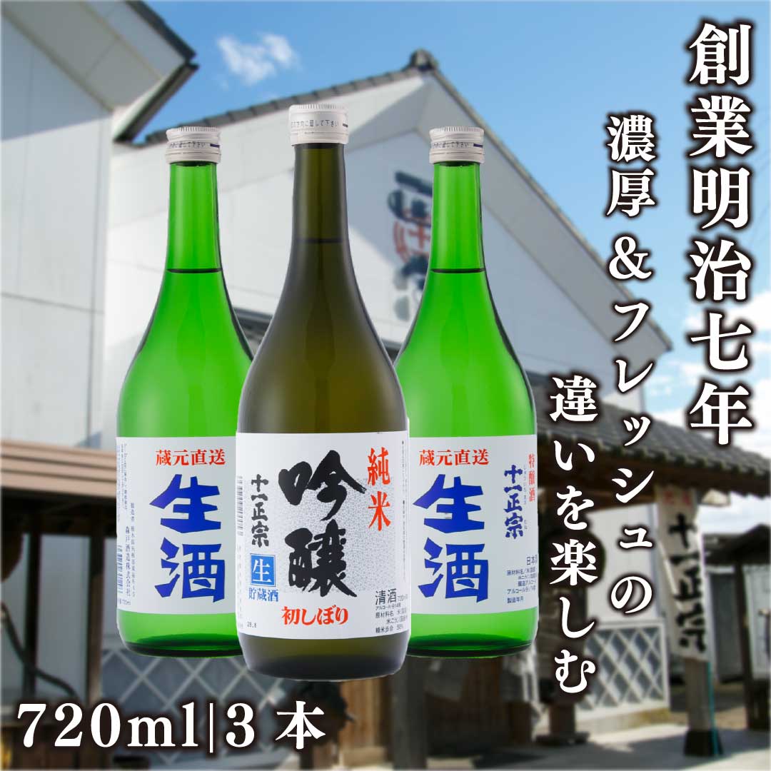 【ふるさと納税】生酒 飲み比べ 3本セット 720ml × 3本 ｜濃厚 フルーティー な 地酒 ギフト | 特醸酒 十一正宗 生酒 純米吟醸酒 十一正宗 初しぼり 日本酒 贈答用 栃木県 矢板市
