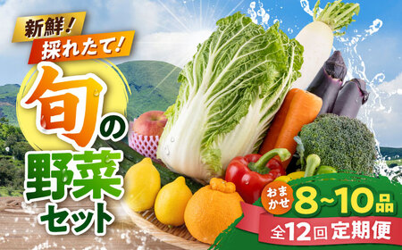 【全12回定期便】旬な野菜おまかせ詰め合わせセット【合志物産販売 志来菜彩】[AYCA002]
