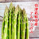 【ふるさと納税】会津若松市産 アスパラガス 1kg｜会津産 野菜 アスパラ 2024年産 令和6年 農家 産直 [0426]