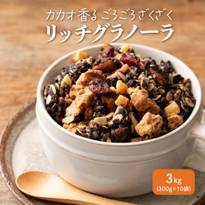 ふるさと納税 静岡市 贅沢リッチグラノーラ 3kg(300g×10袋)