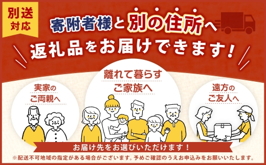 ＜ 長崎 / 小林甚製麺 ＞ 長崎あごだしちゃんぽん ・ 皿うどんセット 麺 郷土料理 ご当地グルメ ご当地 スープ おかず 簡単 時短 個包装 食べ比べ 詰め合わせ 調理