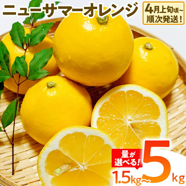 【ふるさと納税】期間限定 ニューサマーオレンジ 日向夏 オレンジ フルーツ 果物 くだもの 選べる 1.5kg 5kg 柑橘 甘い 濃厚 ジューシー 産地直送 デザート おやつ 福岡県 福岡 九州 グルメ お取り寄せ 【4月上旬頃から順次発送】