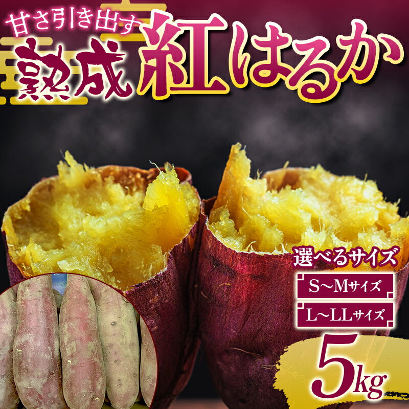 【ふるさと納税】＜選べるサイズ＞甘さ引き出す 熟成紅はるか 5kg さつまいも S～Mサイズ・L～LLサイズ サツマイモ さつま芋 甘い おやつ 食品 F7X-0790var
