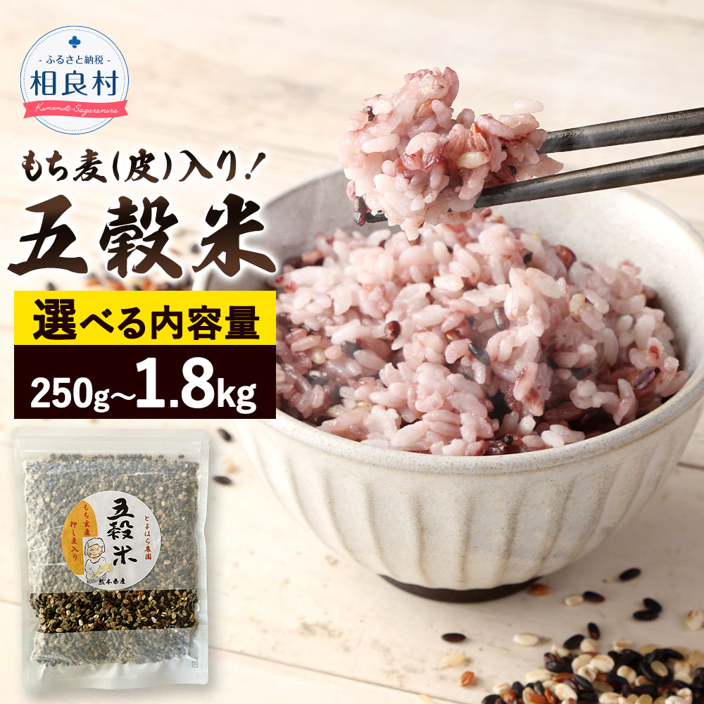 【ふるさと納税】〈選べる容量〉 もち麦（皮）入り！ 五穀米 250g 500g(250g×2パック) 1.8kg(450g×4パック) 国産 熊本県産 黒米 もち皮付き押し麦 うるち玄米 もち押し麦 赤米 雑穀米 雑穀 押し麦 玄米 もち麦 食物繊維 相良村 送料無料