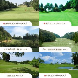 豊田市ゴルフ場利用券1枚（市内16ゴルフ場利用可）