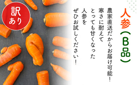 【12月～2月発送】【栽培期間中農薬不使用】訳あり人参１０㎏ AIBA FARM Ｂ品 / 野菜 やさい にんじん 人参 ニンジン 名産 特産 甘い 美味しい 訳あり 不揃い B級 健康 ヘルシー フ