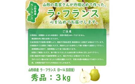 《令和7年産先行受付》※数量・期間限定※ 山形県産ラ・フランス 秀品 約3kg 8玉～14玉前後 なし ナシ 梨 デザート フルーツ 果物 くだもの 果実 食品 山形県 FSY-1871