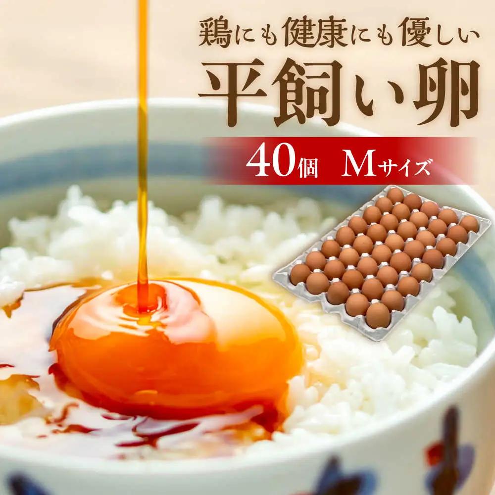 平飼い 卵  「 天上卵 」 40個 セット 《糸島》 糸島市 / 糸島ファームハウスUOVO [AKH005] 鶏卵 平飼い 平飼い卵 玉子 たまご 高級 自然 新鮮 自家配合飼料