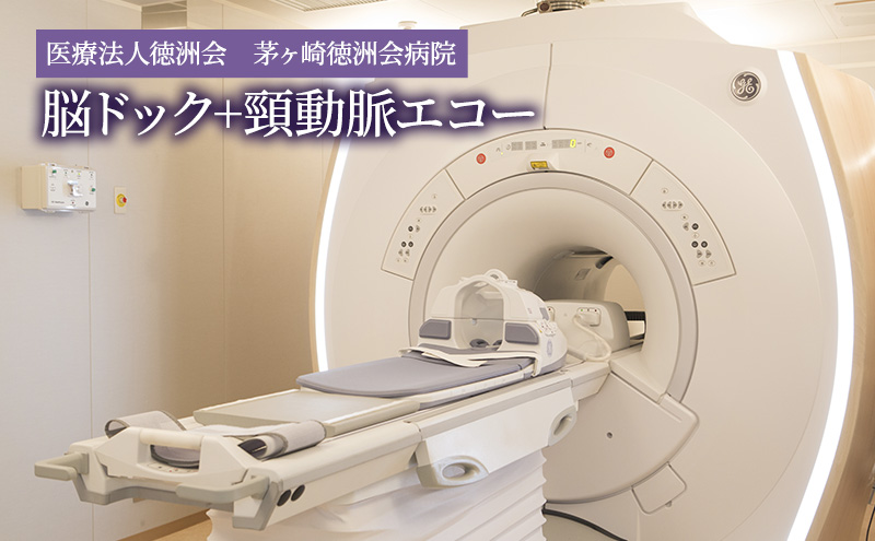 脳ドック+頸動脈エコー チケット 体験チケット 検査のみ 脳血管疾患 検査 健康チェック 