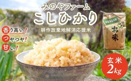 【ふるさと納税】令和7年産新米 こしひかり 2kg 3kg 5kg（玄米） みのやファーム 耕作放棄地解消応援米 【 コシヒカリ こしひかり おいしい お米 米 こめ 自然栽培 贈り物 ギフト 千葉県 御宿町 人気 おすすめ ランキング 】 ONJF001