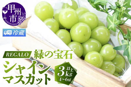 【冷蔵便】頬張る幸福感 ～緑の宝石・シャインマスカット～ 3.0kg以上 4～6房【2026年発送】（RG）D-840CO シャインマスカット フルーツ
