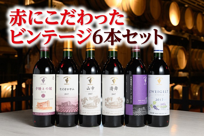 十勝ワイン 赤にこだわったビンテージ6本　北海道ワイン 国産ワイン ヴィンテージ ビンテージ 厳選 人気 受賞
