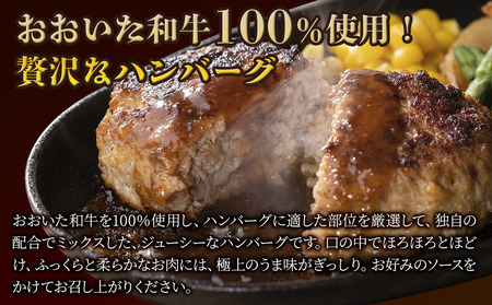 おおいた和牛100%　ハンバーグ　約70g×34個　合計約2.3kg　|　津久見市