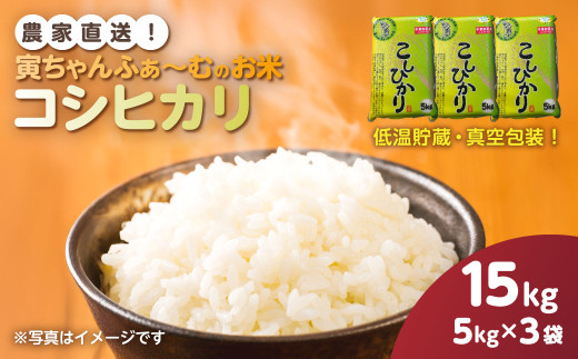 【先行予約2026年10月上旬から発送開始】コシヒカリ　15kg（5kg×3袋）令和8年産 　【 ふるさと納税 人気 おすすめ ランキング 米 精米 白米 お米 こしひかり コシヒカリ 千葉県産 千葉県 山武市 送料無料 】SMBX005