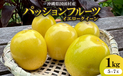 
                  ＜2025年12月から順次発送＞国頭村産パッションフルーツ イエロークイーン 1kg(5～7玉)【1662107】
                