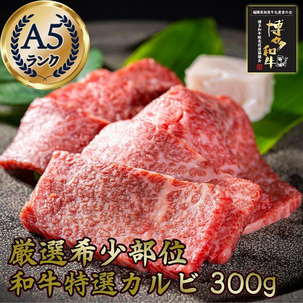 
希少部位厳選！特選カルビ 博多和牛A5 300g (１～２人前)
