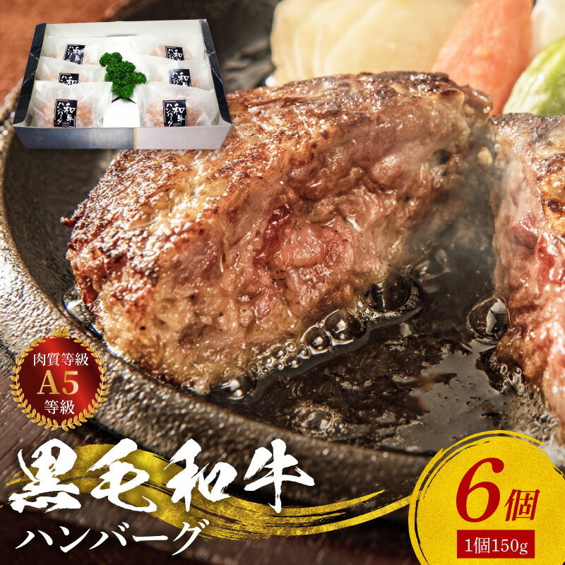 【ふるさと納税】黒毛和牛 100％ ハンバーグ 150g 6個 セット 牛肉 A5 等級 ミシュランビブグルマン獲得 産地直送 自社牧場 肉汁 おかず ご飯のお供 和牛 国産 冷凍 熊本県 天草市 田中畜産 お取り寄せ お取り寄せグルメ 送料無料