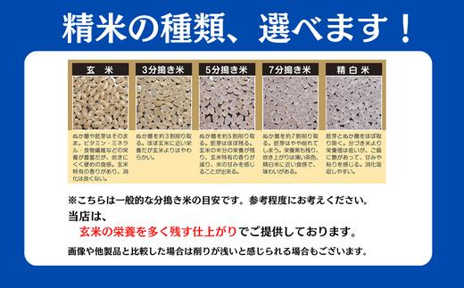 【定期便3回】令和7年産 ササニシキ 玄米 5kg ×3回 計15kg ささにしき お米 米 こめ コメ 人気 おすすめ リピート お弁当 弁当 料理 和食 おにぎり おむすび 食品
