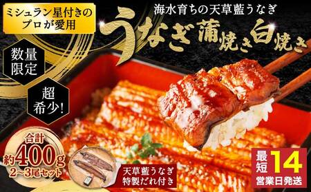 【ミシュラン1つ星店 採用】 うなぎ 国産 蒲焼き2-3尾 400g ギフト 蒲焼き 白焼き 鰻重 鰻丼 【数量限定】海水育ちの天草藍うなぎ 天草藍うなぎ 天草うなぎ 国産うなぎ 熊本県産うなぎ