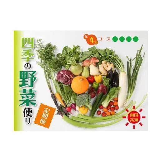 【 野菜定期便 】 野菜定期便 4回 10～14種 セット