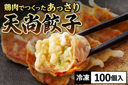 鶏肉でつくったあっさり天尚餃子100個_OS116-0003
