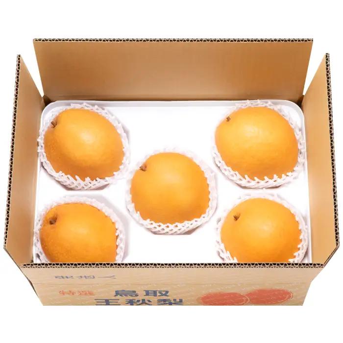【期間限定】たにがみ農園の王秋 2.5キロ箱　(鳥取県産)