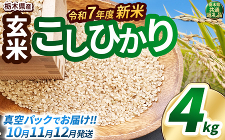 新米 こしひかり 玄米真空パック 約4kg